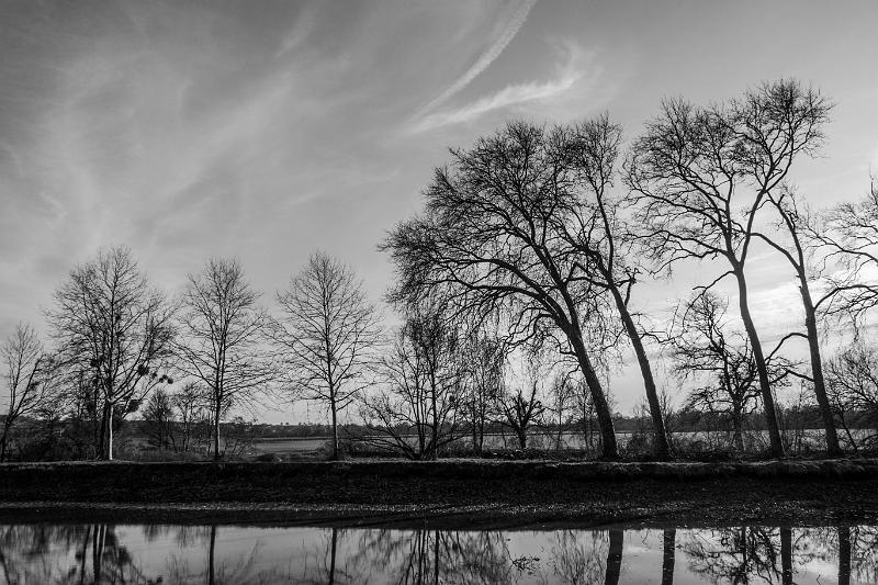 2020_02_07_canal du Nivernais (0025).jpg - Canal du Nivernais, entre Vandenesse et Panneçot (Février 2020)